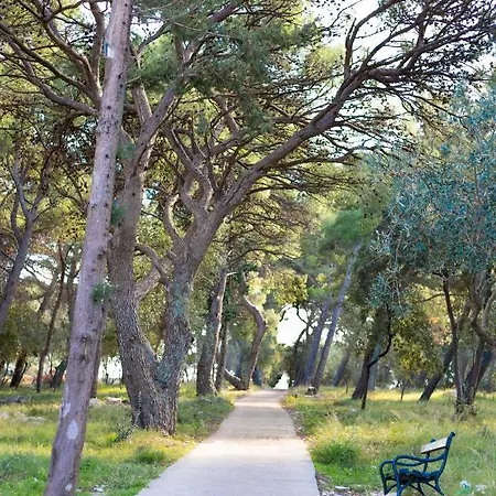Antea Lägenhet Zaton (Dubrovnik-Neretva)