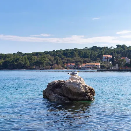 Antea Daire Zaton (Dubrovnik-Neretva)